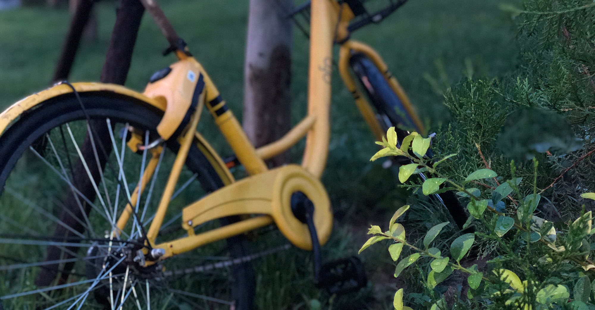 Ofo Tries to Make Ends Meet With New Designated Parking Space