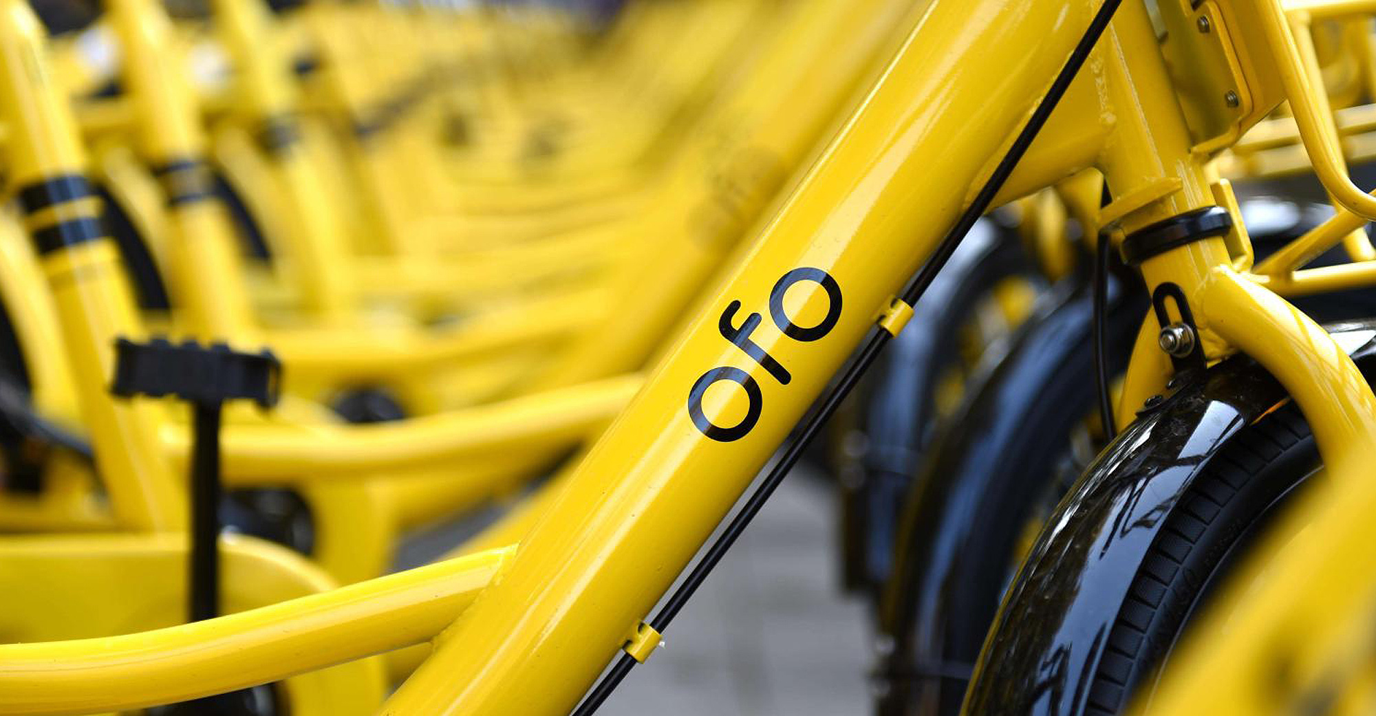 Newsletter: What Killed ofo — The Fall of a Unicorn